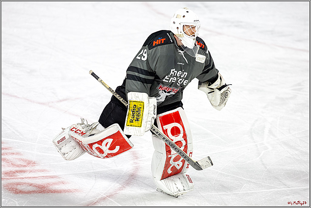 DEL; Koelner Haie - Straubing Tigers, 02.12.2018